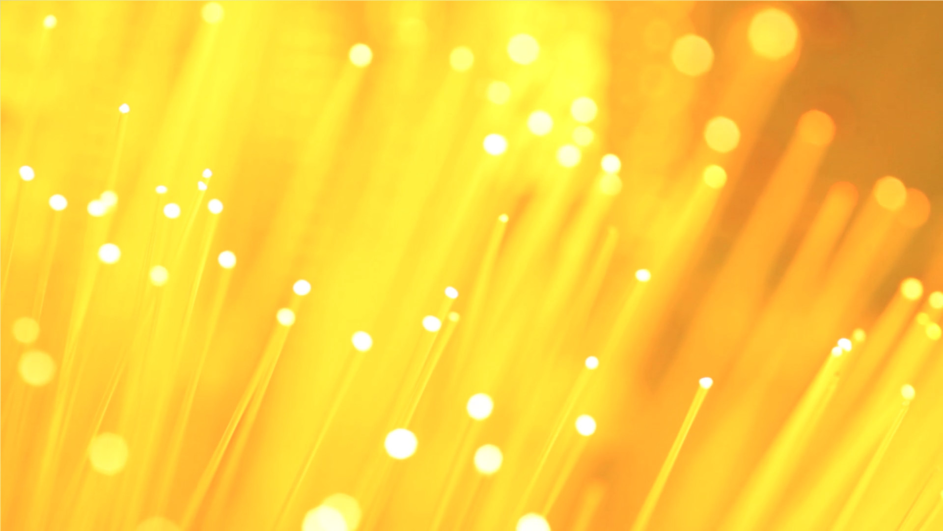 Wilson Electric Lighting the Way Since 1919